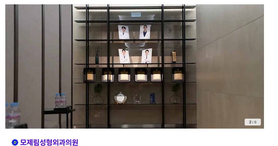 모제림성형외과 모발이식 1